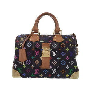 Louis Vuitton Multicolor Speedy Handbag